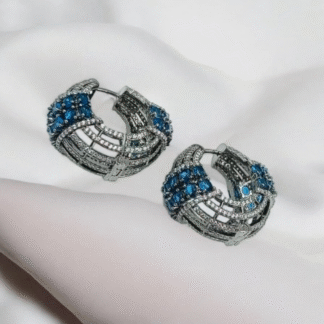 hoops_earring_paramountjewels